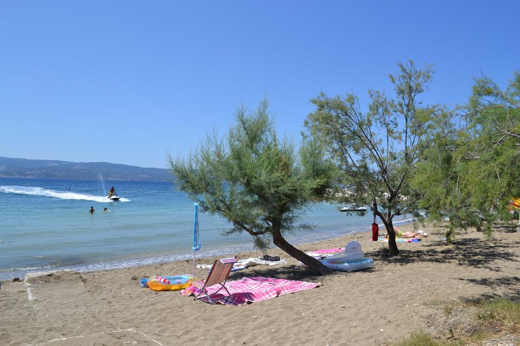 Apartments Kadenca Omiš Dış mekan fotoğraf